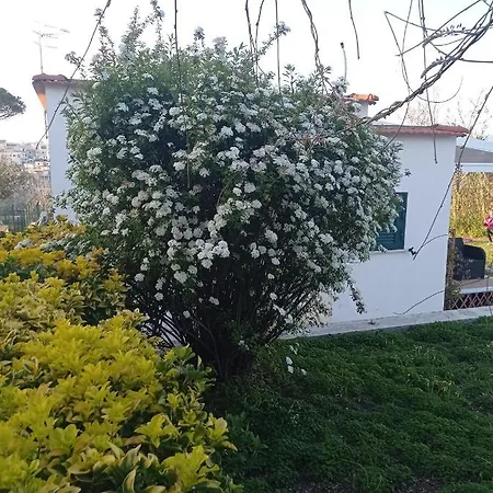 La Cava Di Dafne B&B 바콜리