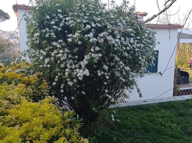 La Cava Di Dafne Bed and Breakfast Bacoli